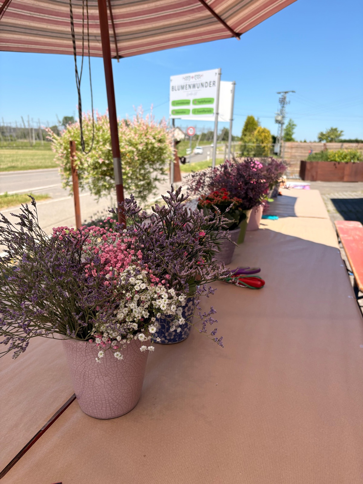 Vorbereitete Tische mit Blumen für einen Workshop vor dem Blumenwunder-Schild
