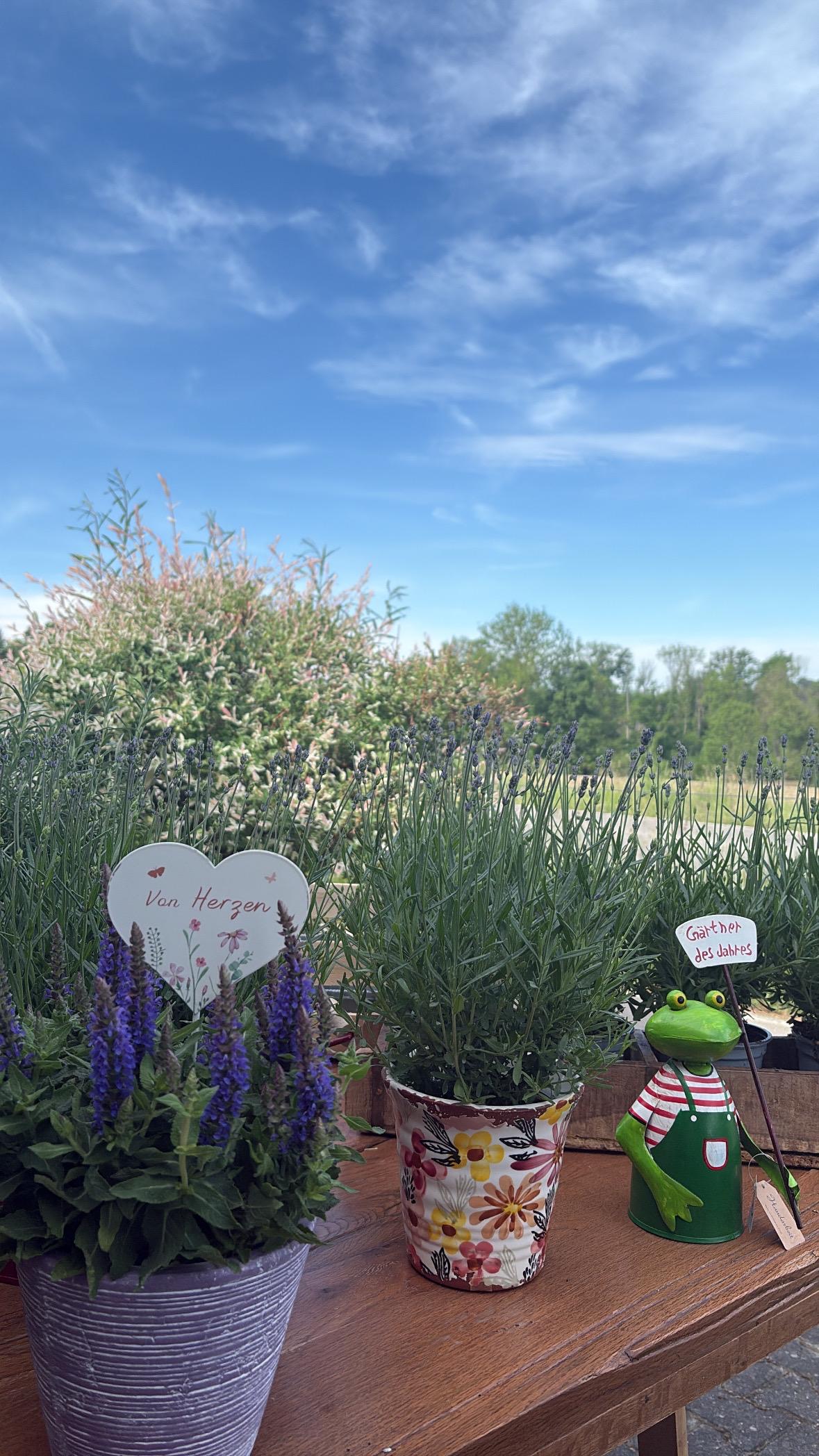 Saisonale Blumendekoration für Feste und Anlässe – Eventfloristik am Bodensee